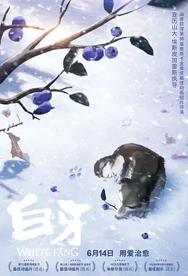欧美日韩无